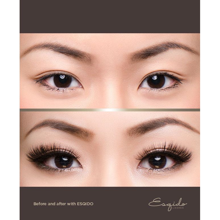 Amp It Up Esqido - Backstage Cosmetics Canada