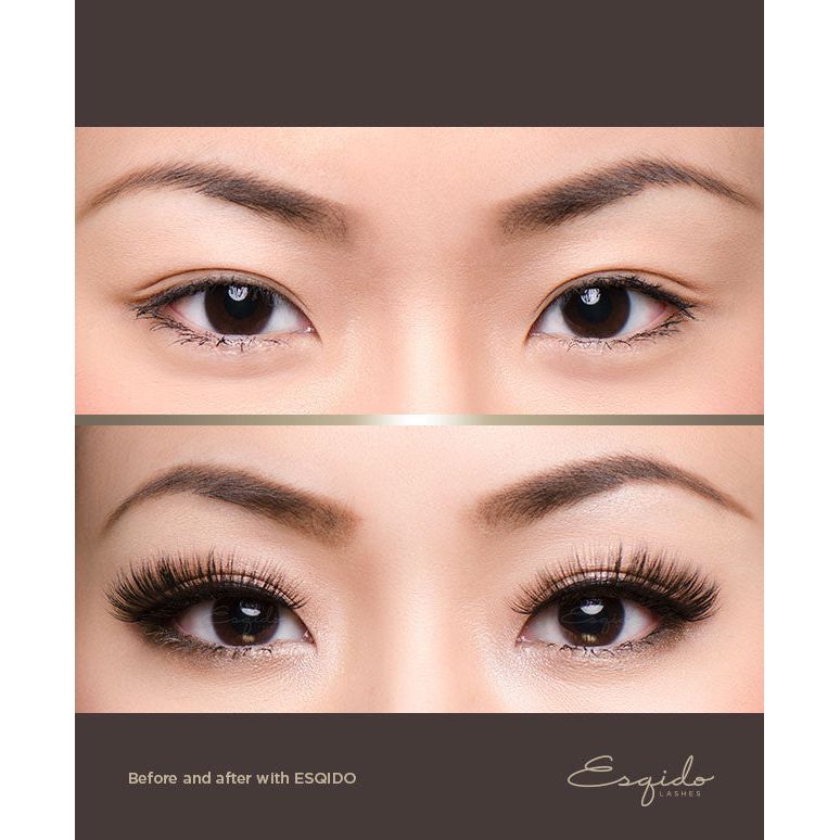 Voila Lash Esqido - Backstage Cosmetics Canada