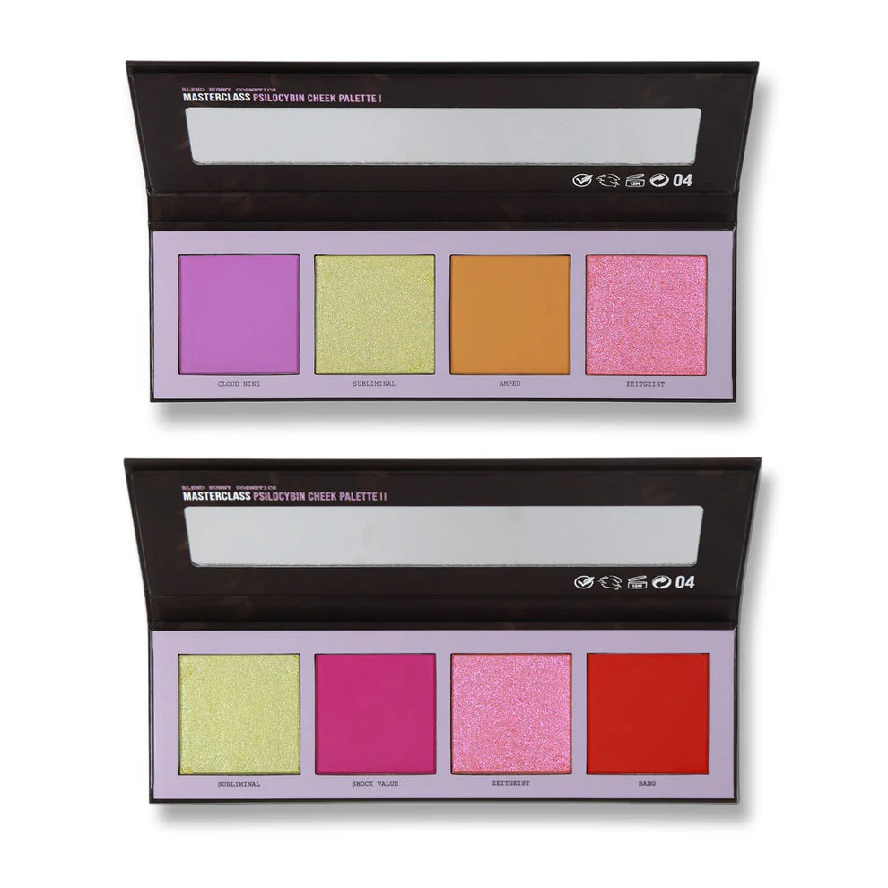 Masterclass Psilocybin Cheek Palette X04 Shades (Magnetic)