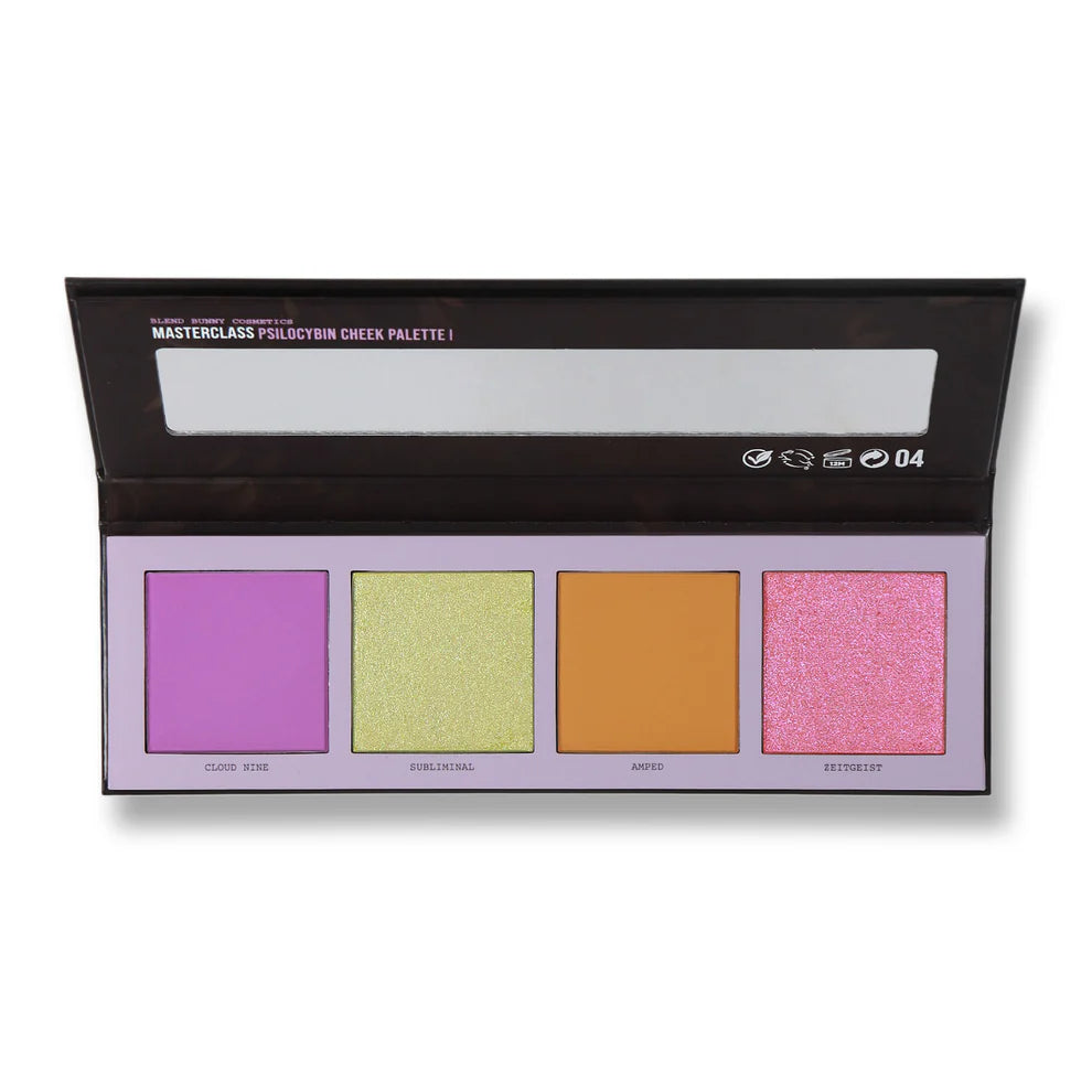 Masterclass Psilocybin Cheek Palette X04 Shades (Magnetic)
