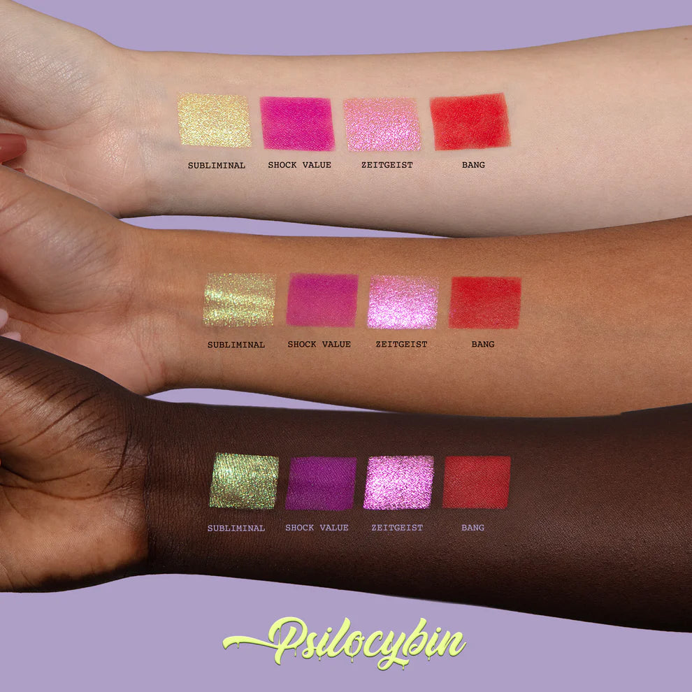 Masterclass Psilocybin Cheek Palette X04 Shades (Magnetic)