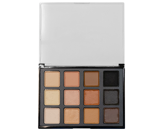 Master Alcohol Activated Palette - Skin