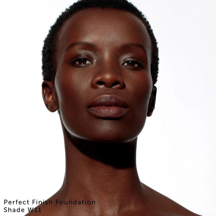 Perfect Finish Complexion Book