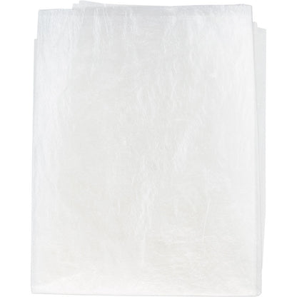 Fish Skin