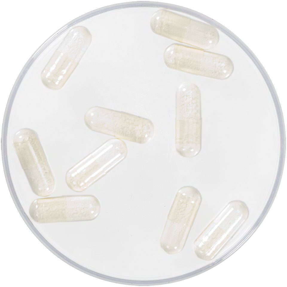 Foam Capsules - Backstage Cosmetics Inc.
