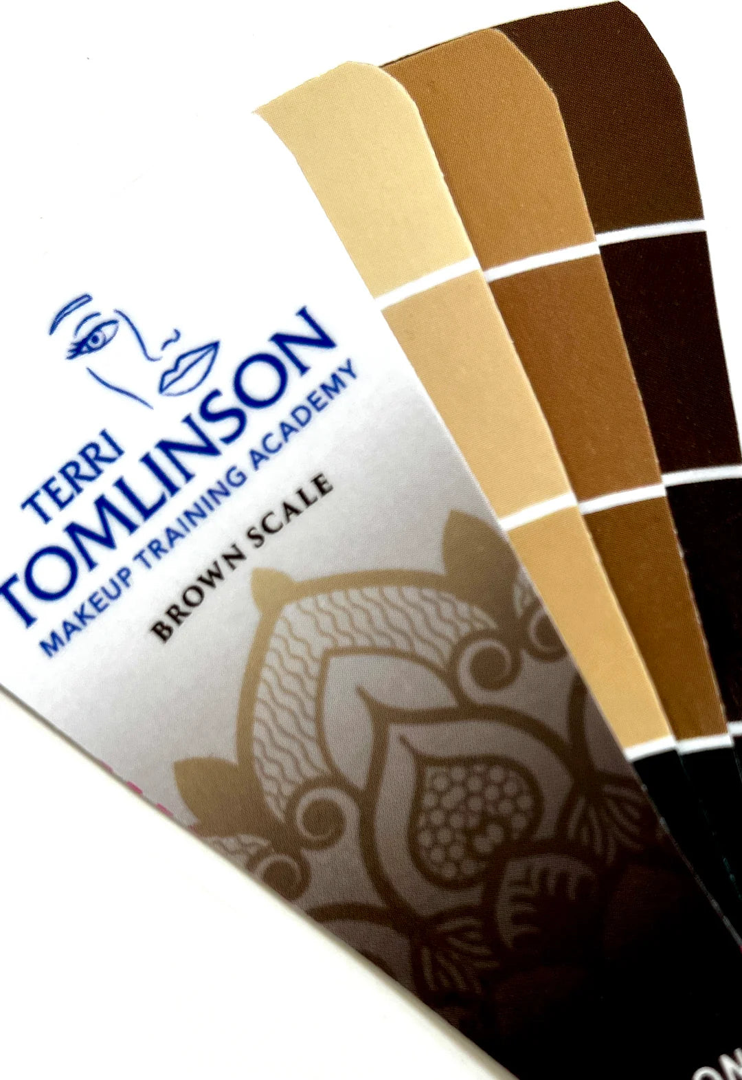 The Flesh Tone Fan & Brown Tone Bundle