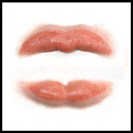 Lip/Tuck – 3D FX Transfers