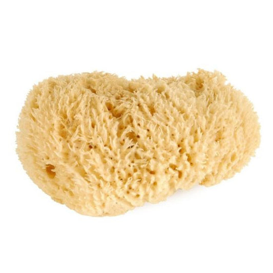 Natural Sea Sponge Graftobian - Backstage Cosmetics Canada