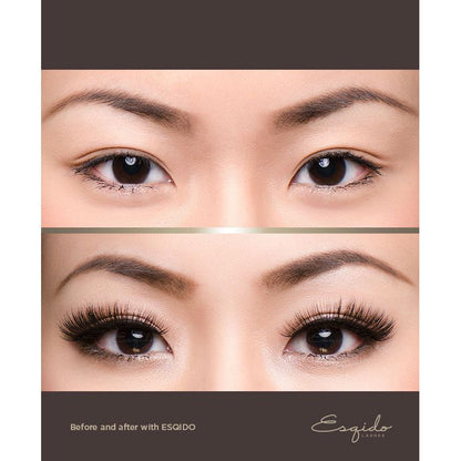 Voila Lash Esqido - Backstage Cosmetics Canada